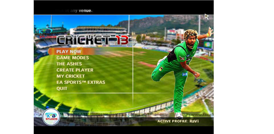 ashes cricket 2010 pc game free download